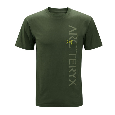 Arc'Teryx Big Word Tee Men's (Caper)