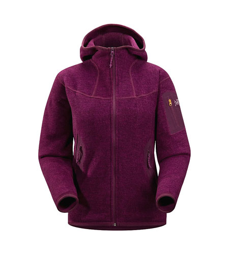 Arc'Teryx Covert Polartec Hoody Women's (Purpa)