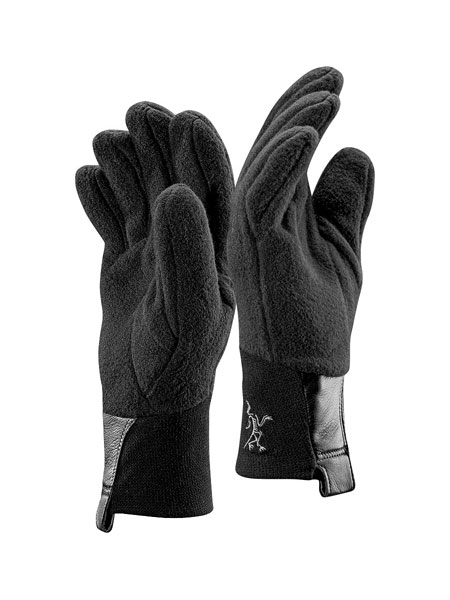 Arc'Teryx Delta AR Glove (Black)