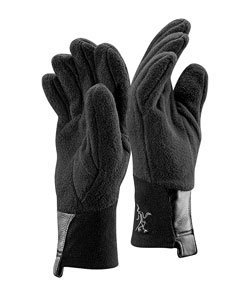 Arc'Teryx Delta AR Glove (Black)