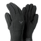 Arc'Teryx Delta Glove