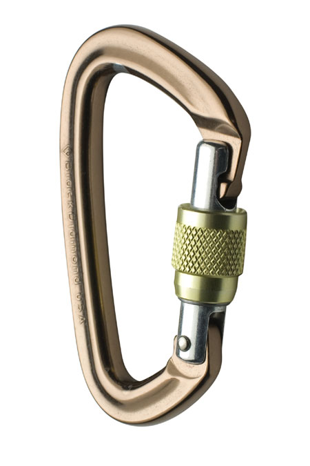 Black Diamond Positron Screwgate Carabiner (Mocha)