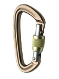 Black Diamond Positron Screwgate Carabiner (Mocha)