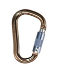 Black Diamond Rocklock Locking Carabiner