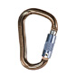 Black Diamond Rocklock Locking Carabiner