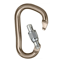 Black Diamond Rocklock Locking Carabiner (Screw Gate)