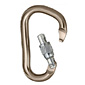 Black Diamond Rocklock Locking Carabiner (Screw Gate)