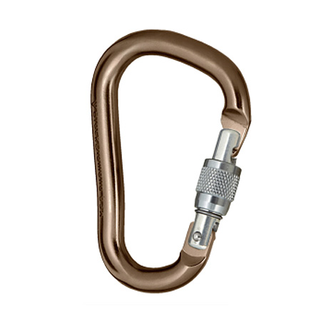 Black Diamond Rocklock Locking Carabiner (Screw Gate)