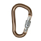 Black Diamond Rocklock Locking Carabiner (Screw Gate)