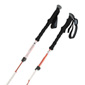 Black Diamond Trail Trekking Poles