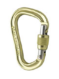 Black Diamond Vaporlock Screwgate Carabiner