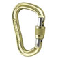 Black Diamond Vaporlock Screwgate Carabiner (Lime)