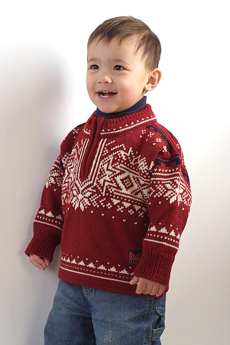 Dale of Norway 125th Anniversary Kids Sweater (Redrose)