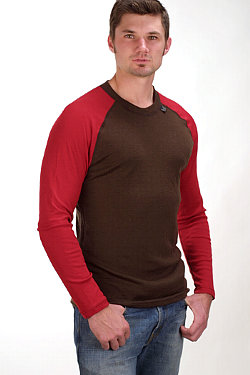 Dale of Norway Long Sleeves Base Layer Men's (Brown / Red)