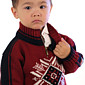 Dale of Norway Portillo Kids Sweater (Redrose)