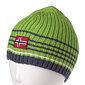 Dale of Norway Team Norge Hat (Kiwi Green)