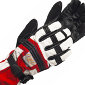 Helly Hansen Accretion Glove Men's (Silver / Red)