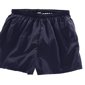 Helly Hansen Monza Runner Shorts