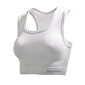 Helly Hansen Seamless Short Top Women's (White)