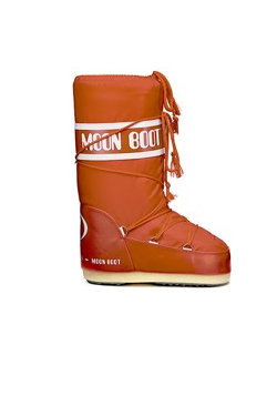 Tecnica Moon Boots