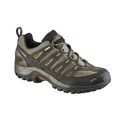 Salomon Exit Sport GORE-TEX Light Hiking Shoe Men's (Swamp / Dar