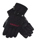 Spyder Traverse GORE-TEX Ski Glove Men's