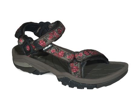 Teva Terra Fi 3 Sports Sandal Women's (Eden American Beauty)