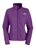 The North Face Apex Bionic Soft Shell Jacket Women's (Gravity Purple Leafline Print)