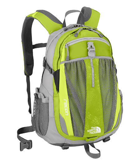 The North Face Borealis Day Backpack (Truckee Green)