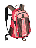 The North Face Recon Day Backpack (Truckee Pink)