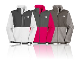 The North Face Denali Jacket